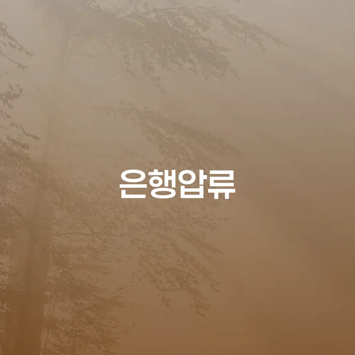 카드값 석달 연체 추심 대응법 믿고 진행 할 수 있는