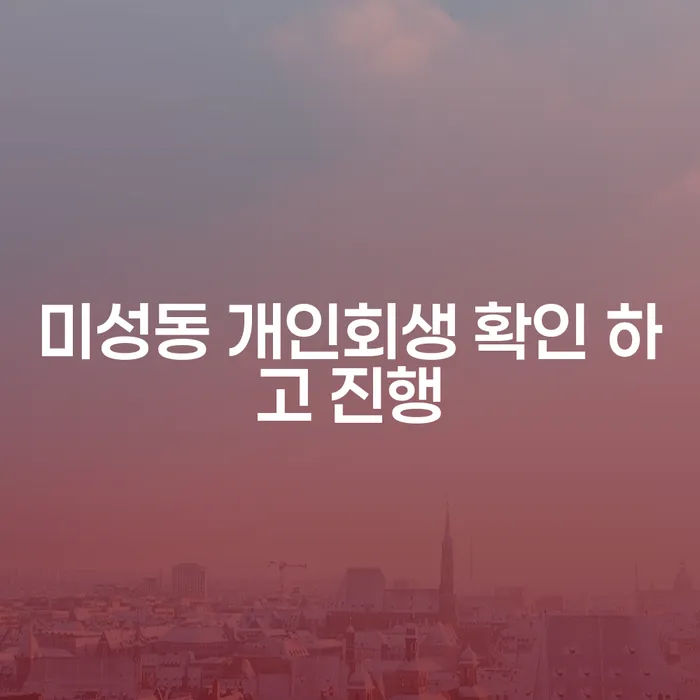 미성동 개인회생 확인 하고 진행