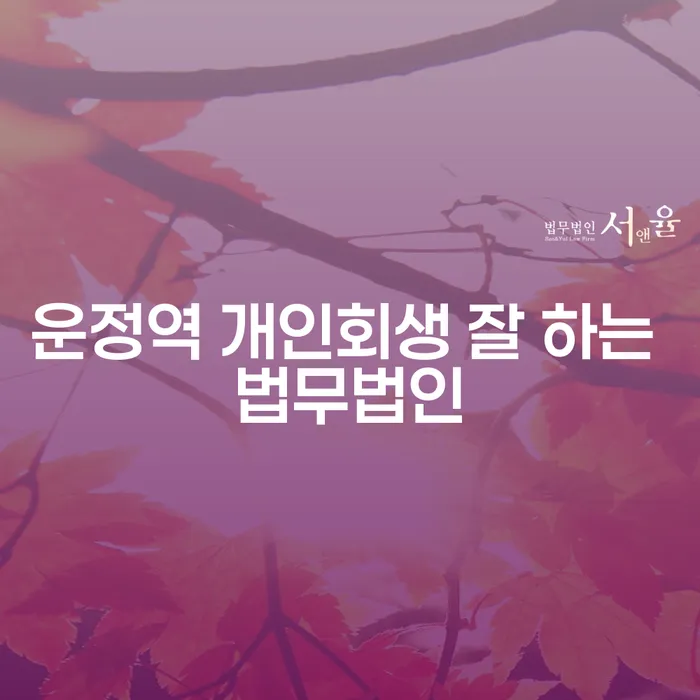 운정역 개인회생 잘 하는 법무법인