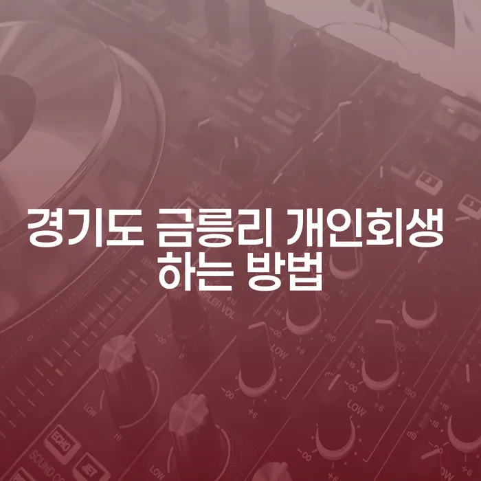 경기도 금릉리에서 개인회생을 하는 방법은 무엇일까요?
