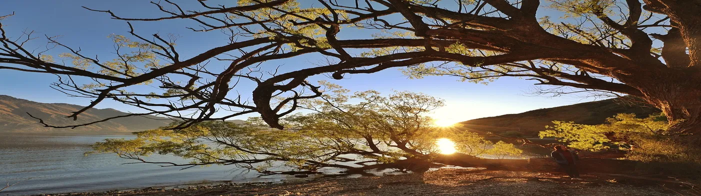 법무법인 서앤율