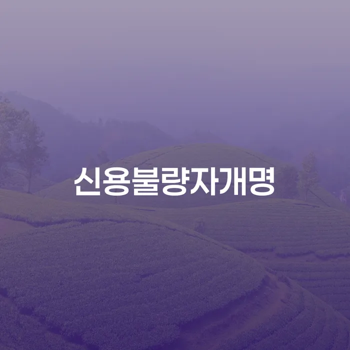 신용불량자도 개명으로 새로운 시작할 수 있을까?